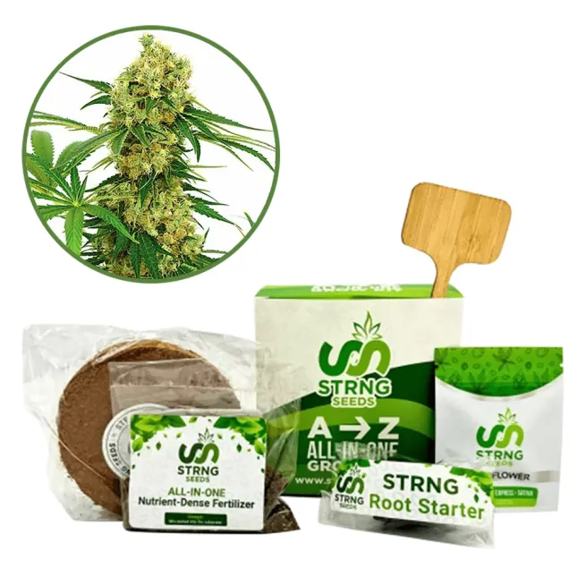 Chocolope Premium Grow Kit