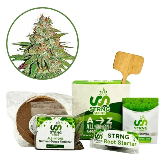 Glueberry OG Premium Grow Kit