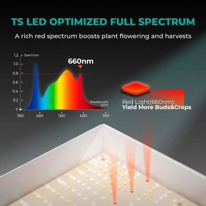 Mars Hydro TS 3000 420W Full Spectrum LED Grow Light High PPFD For Advanced Beginners