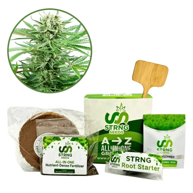 Papi Chulo Premium Grow Kit