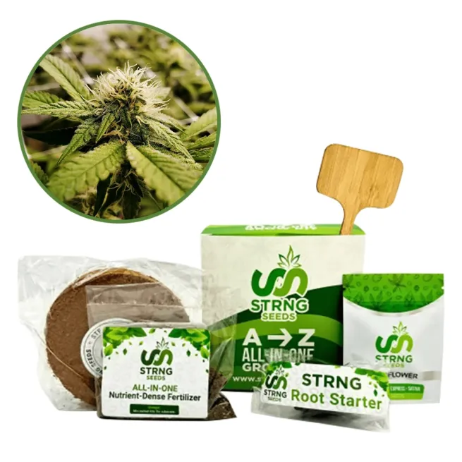 Pineapple Express x Super Lemon Haze Premium Grow Kit