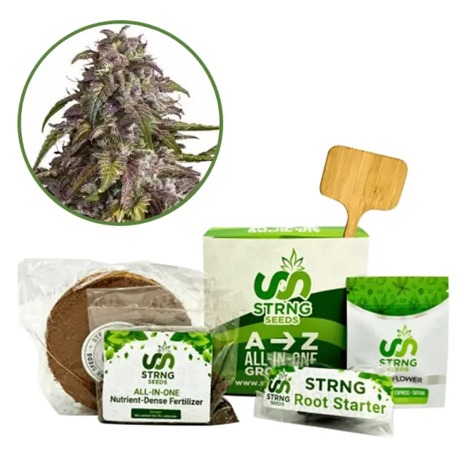 Purple Haze Premium Grow Kit