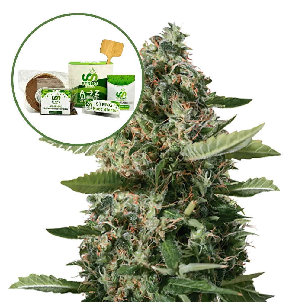 East Coast Sour Diesel Strain Grow Kit