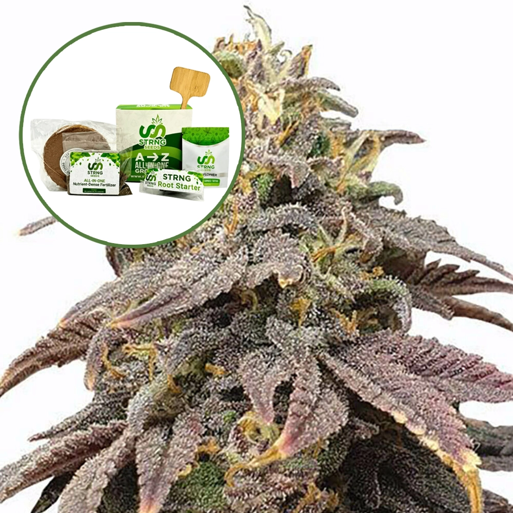 Forbidden Fruit Strain Grow Kit