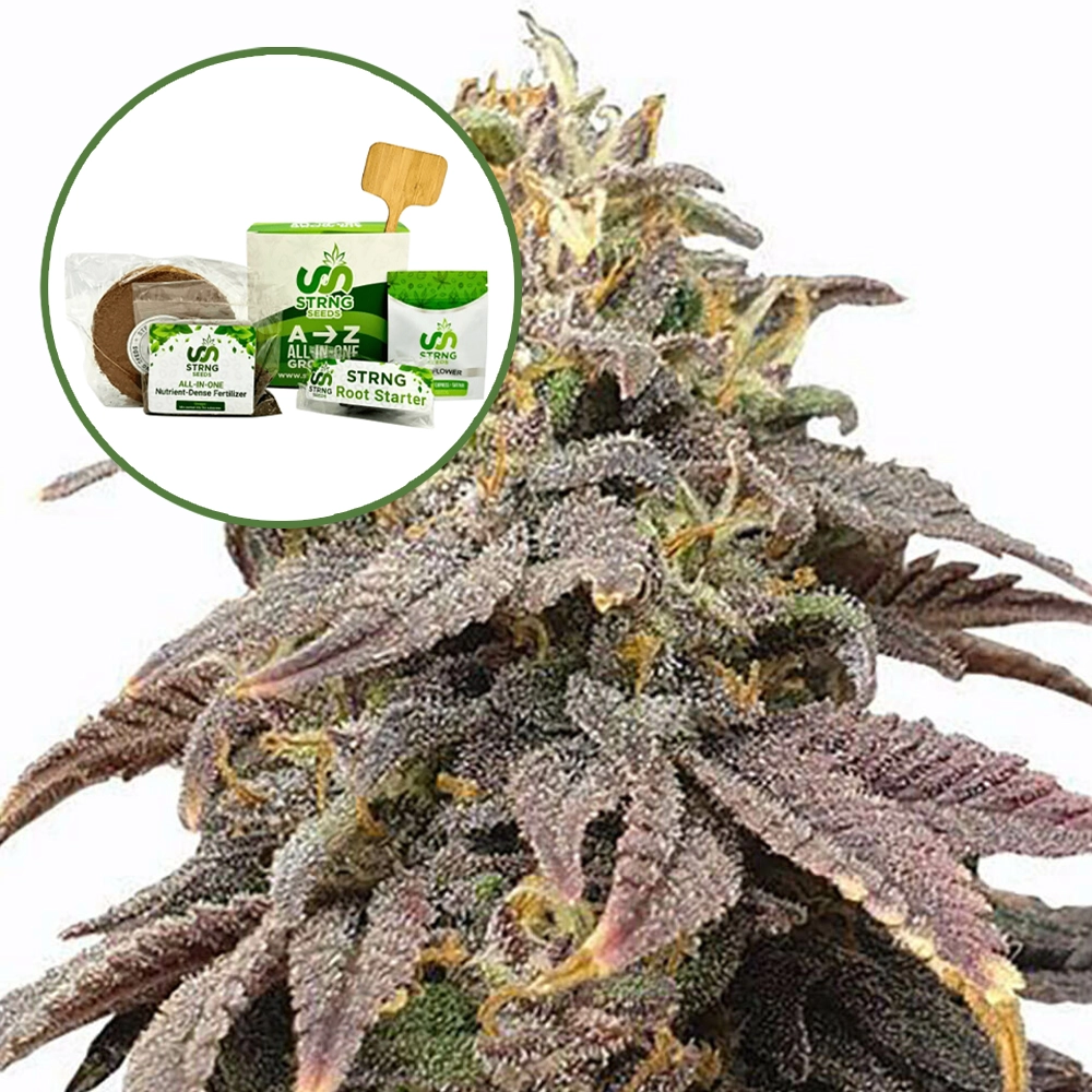 Forbidden Fruit (THCA) Strain Grow Kit