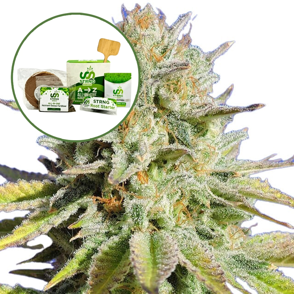 Gorilla Glue Strain Grow Kit