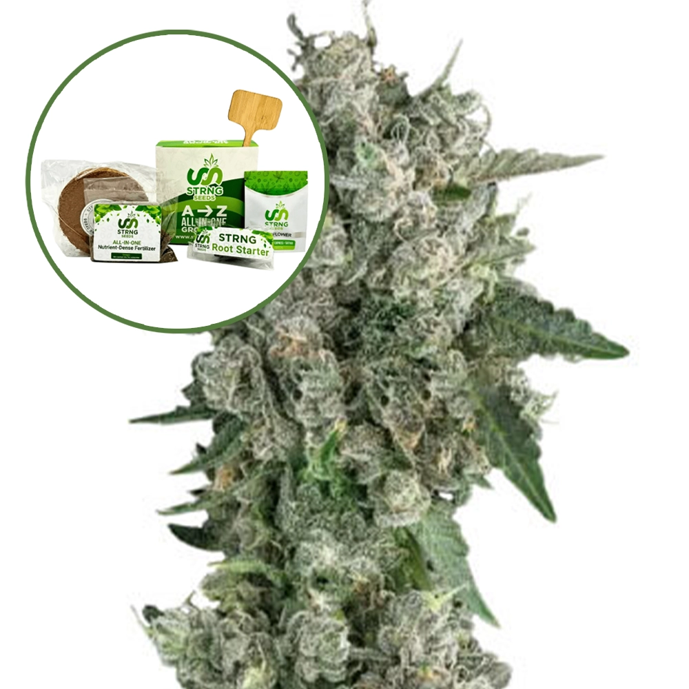 Peanut Butter Breath Strain Grow Kit