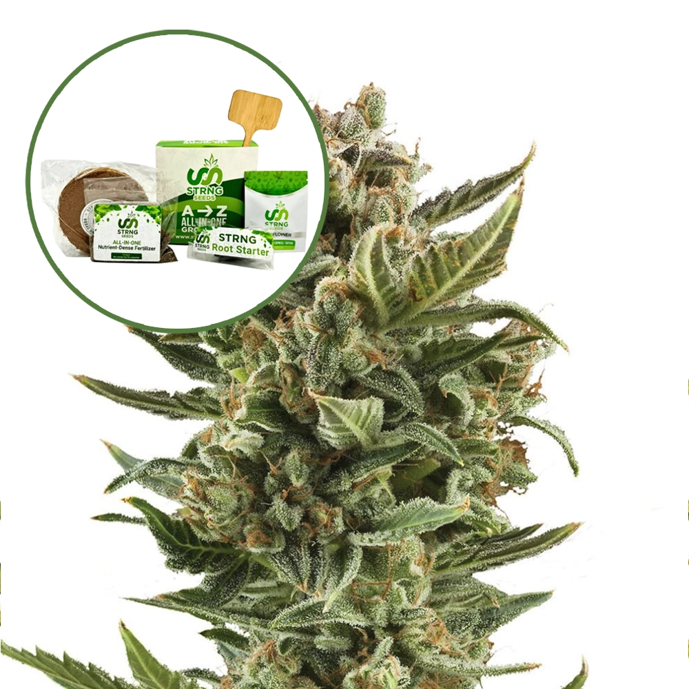 White Widow Strain Grow Kit