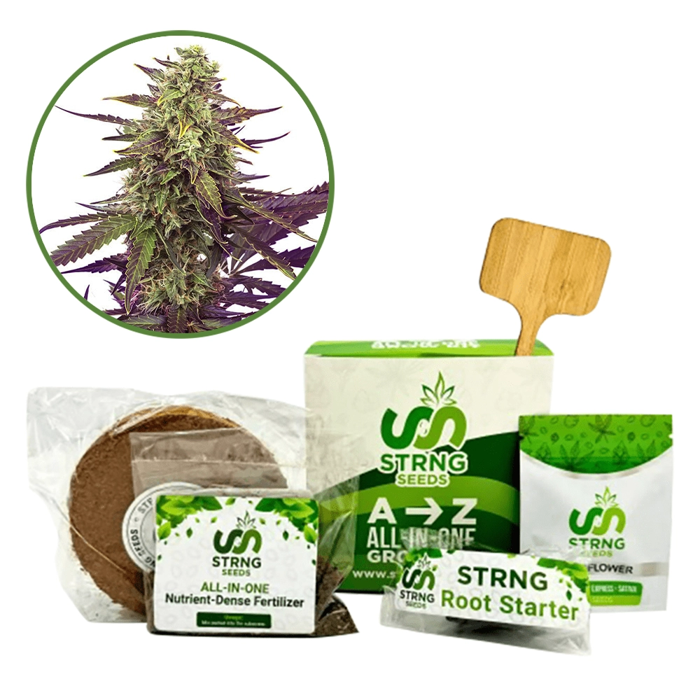 Cereal Milk Premium Grow Kit