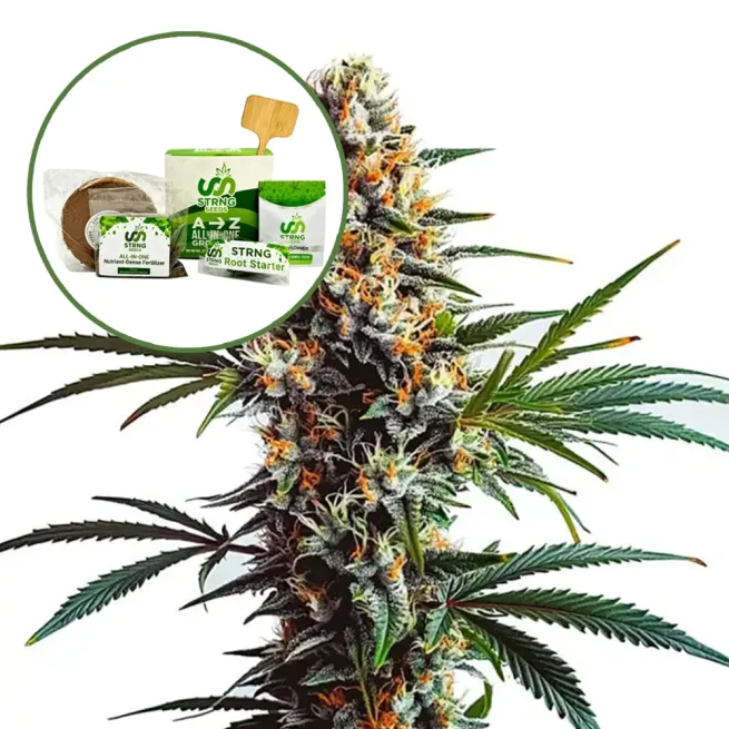 Doug’s Varin Strain Grow Kit
