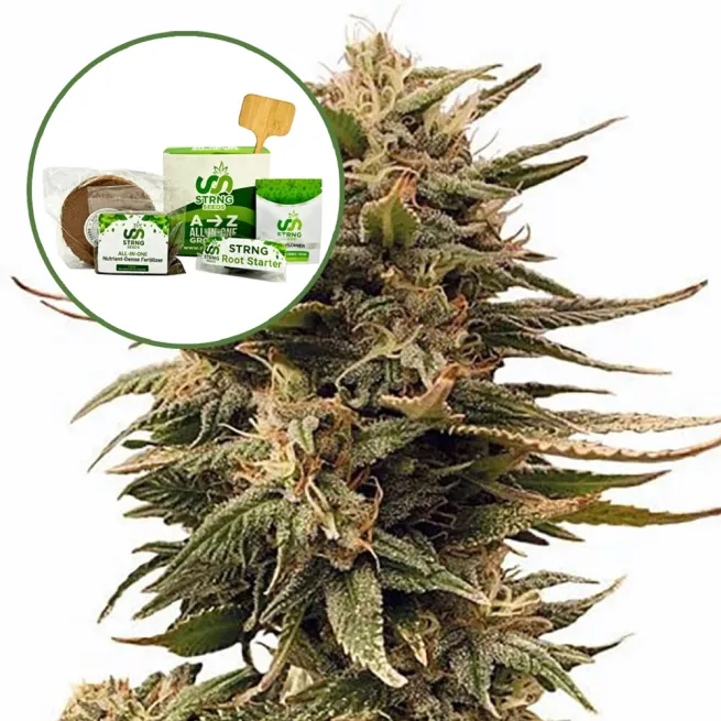 Harlequin Strain Grow Kit
