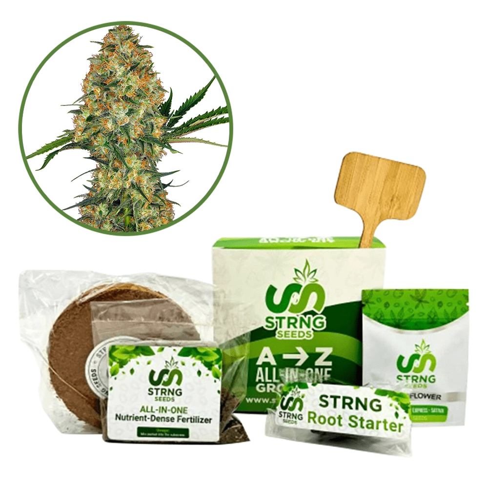 Hindu Kush Premium Grow Kit
