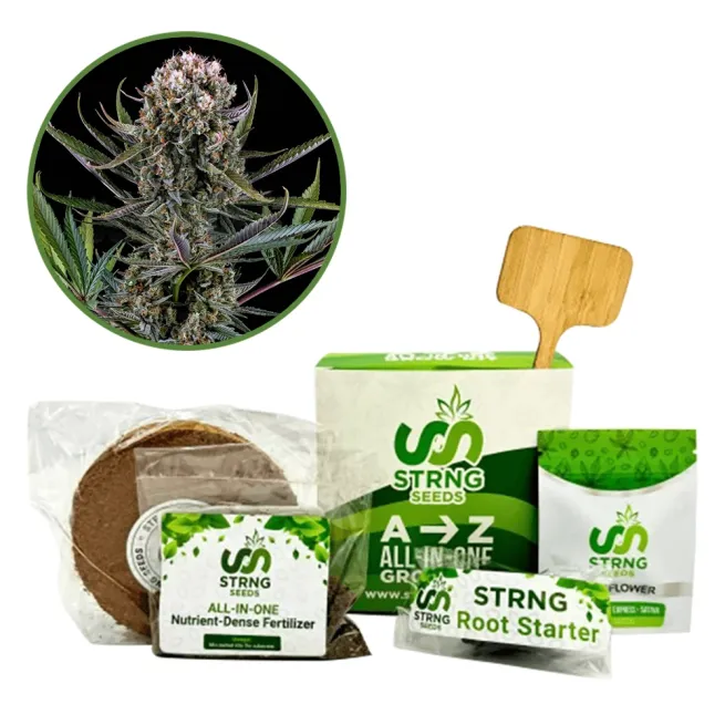 Italian Ice Premium Grow Kit