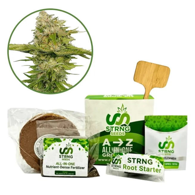 Kandy Kush Premium Grow Kit