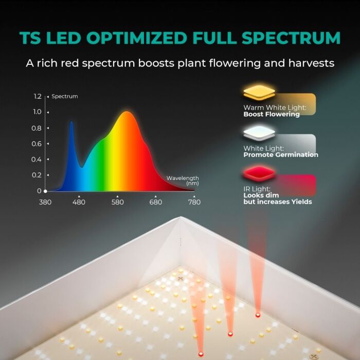 Mars Hydro TS 600 Essential 100W Full Spectrum LED Grow Light for Beginners