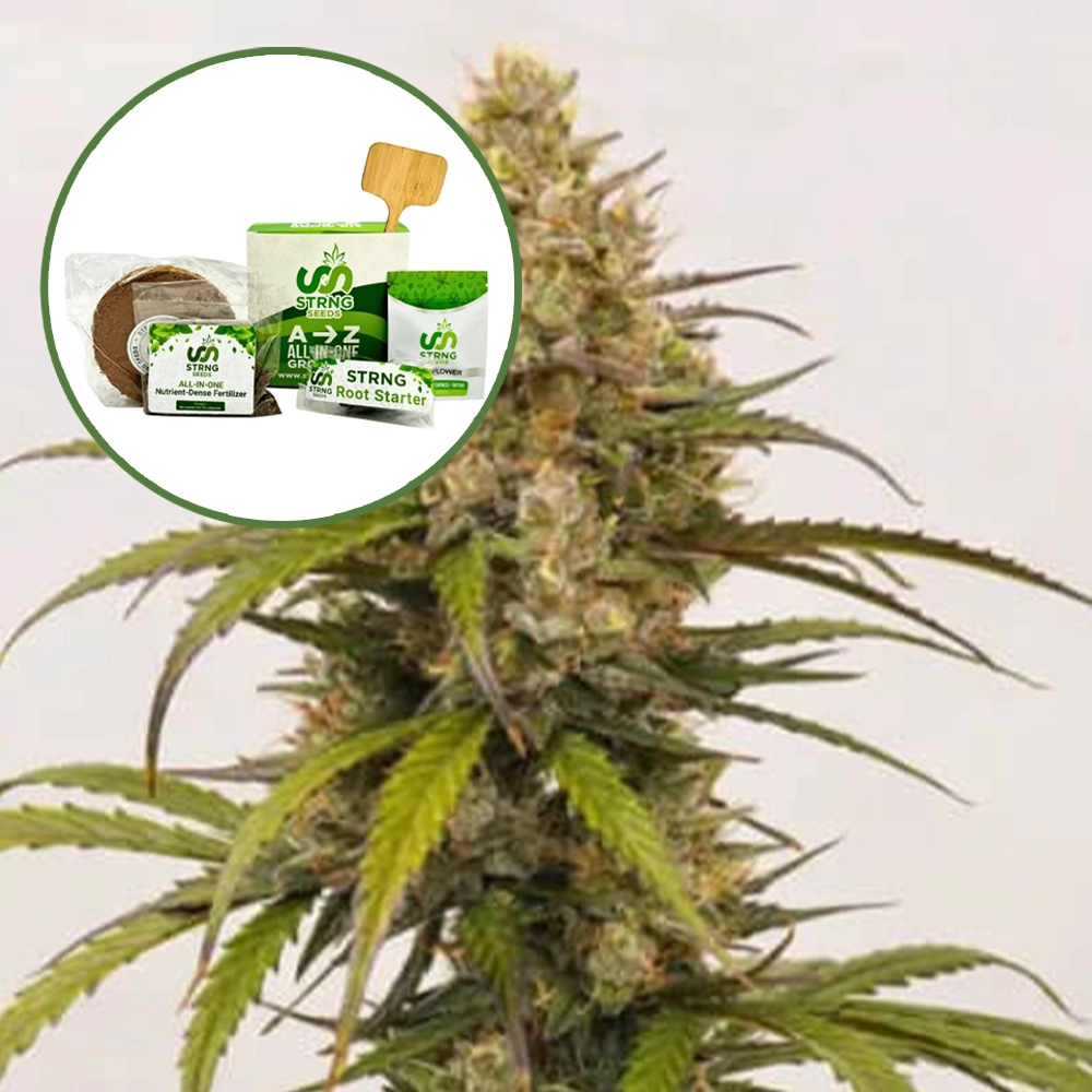 Melonade Strain Grow Kit