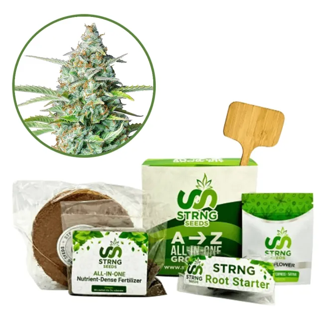 Northern Lights Premium Grow Kit