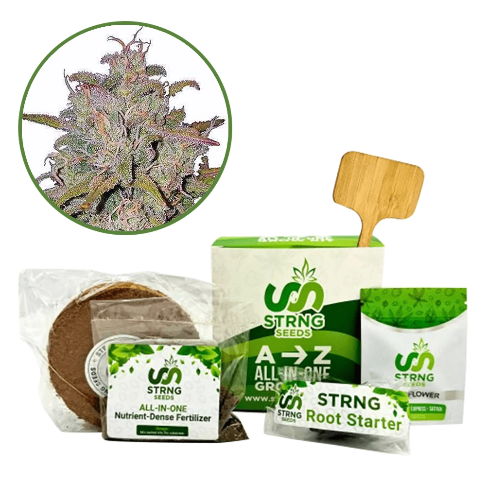 Pink Runtz Premium Grow Kit