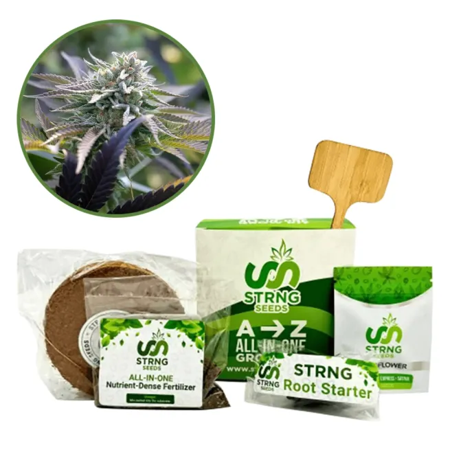 Sunset Sherbet Premium Grow Kit