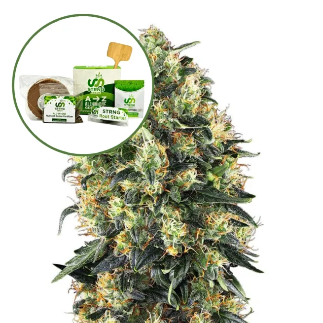 Super Skunk Strain Grow Kit