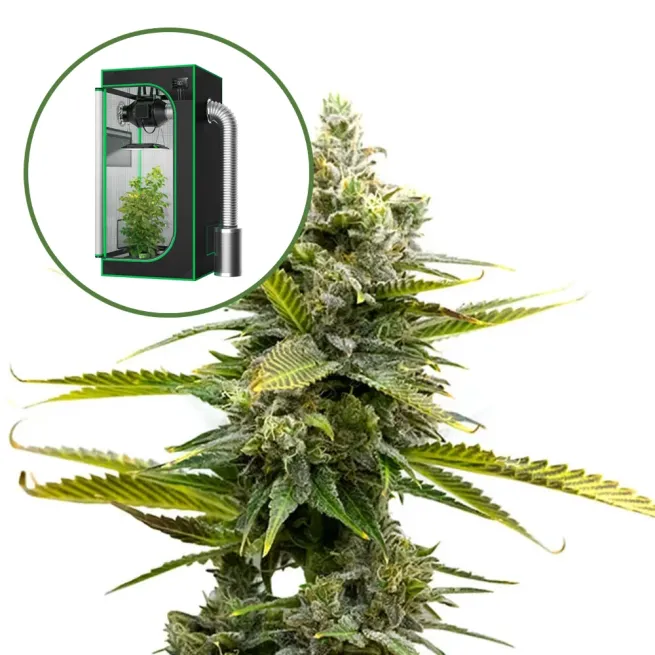 Critical Mass Auto Platinum Indoor Grow Bundle