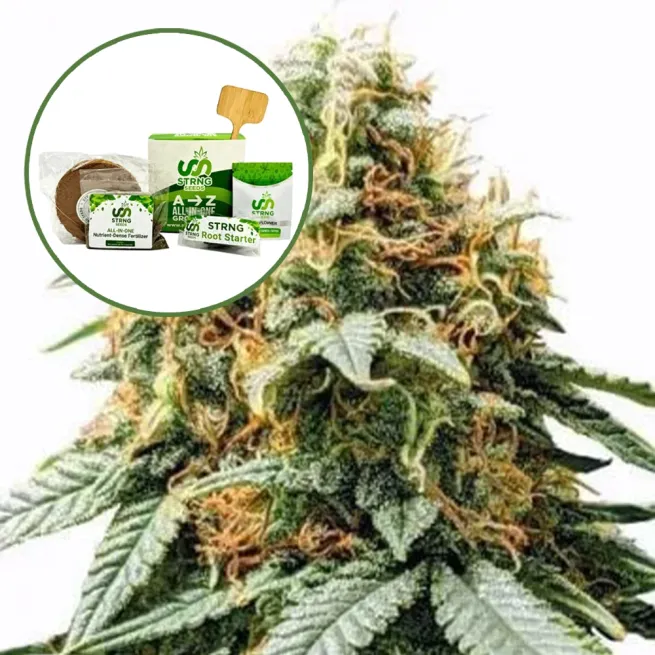 Acapulco Gold Strain Grow Kit