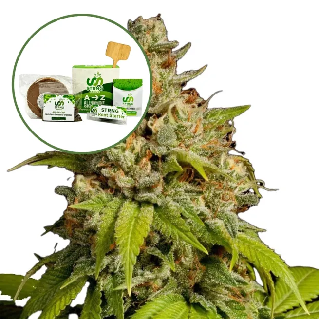 Durban Poison (THCA) Strain Grow Kit