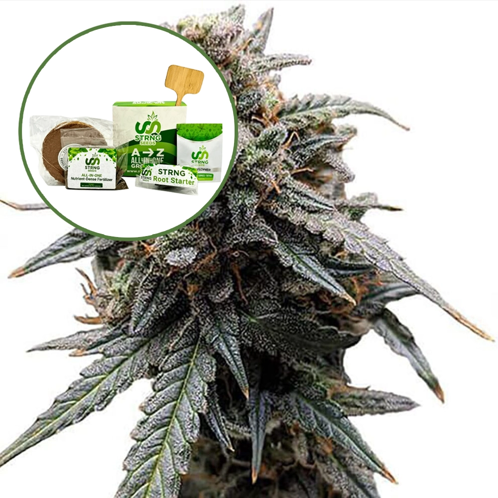 Sweet Tooth Strain Grow Kit