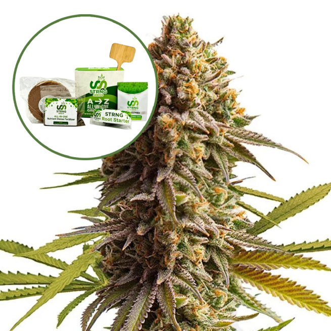 Wedding Cake Strain Grow Kit