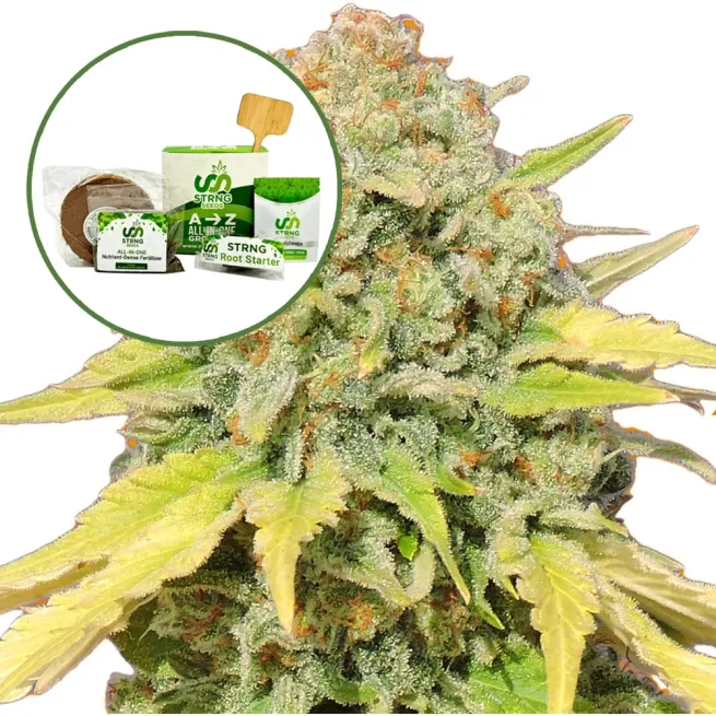 Zkittlez Strain Grow Kit