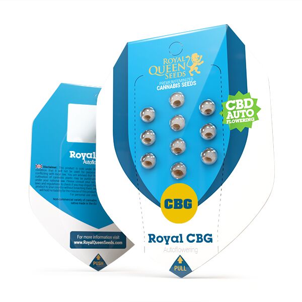 Royal CBG Auto - Image 2