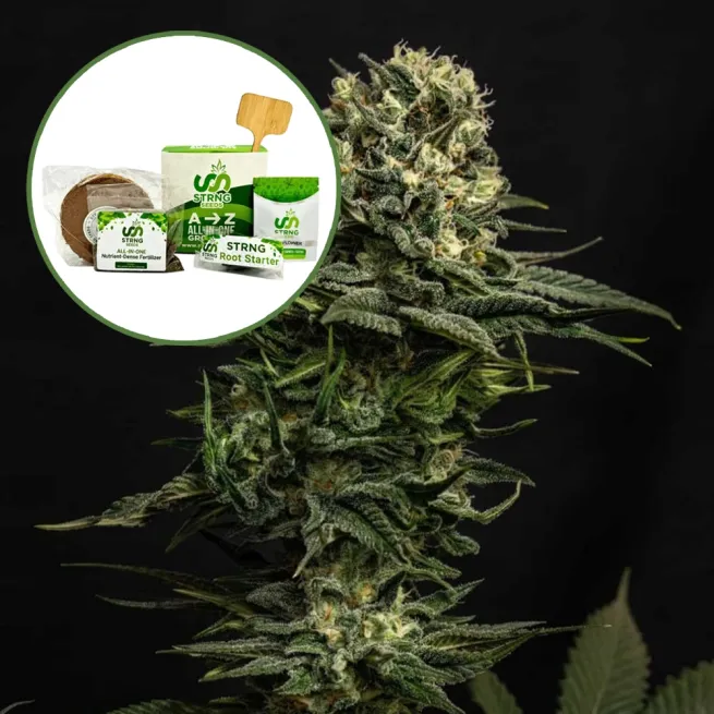 Cookie Frost Strain Grow Kit