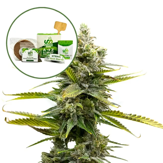 Critical Mass Strain Grow Kit