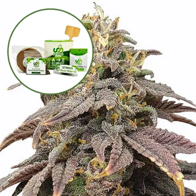 Forbidden Fruit Strain Grow Kit