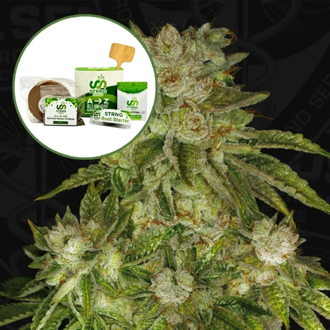 MK Ultra Strain Grow Kit