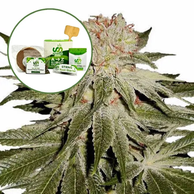 Stardawg Strain Grow Kit