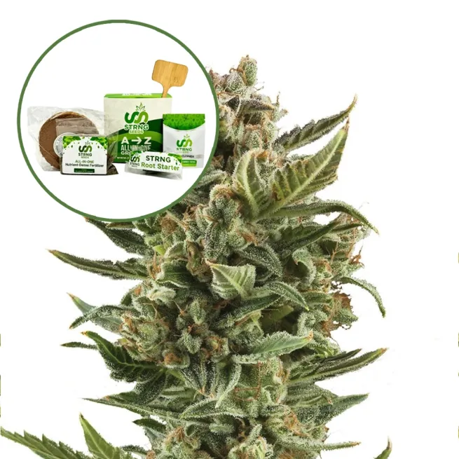 White Widow Strain Grow Kit