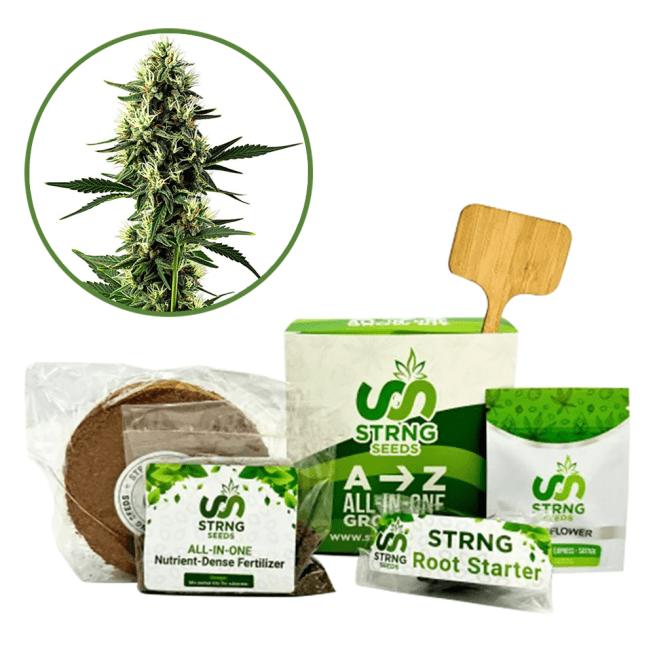 Aurora Indica Premium Grow Kit