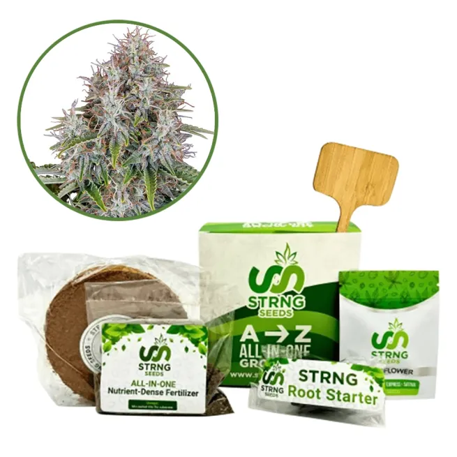 Blue Haze Premium Grow Kit