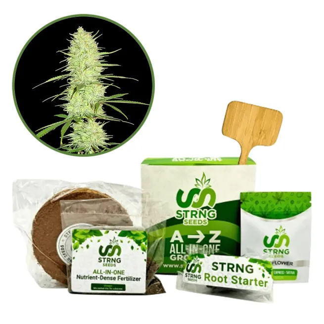 Cinderella 99 Premium Grow Kit