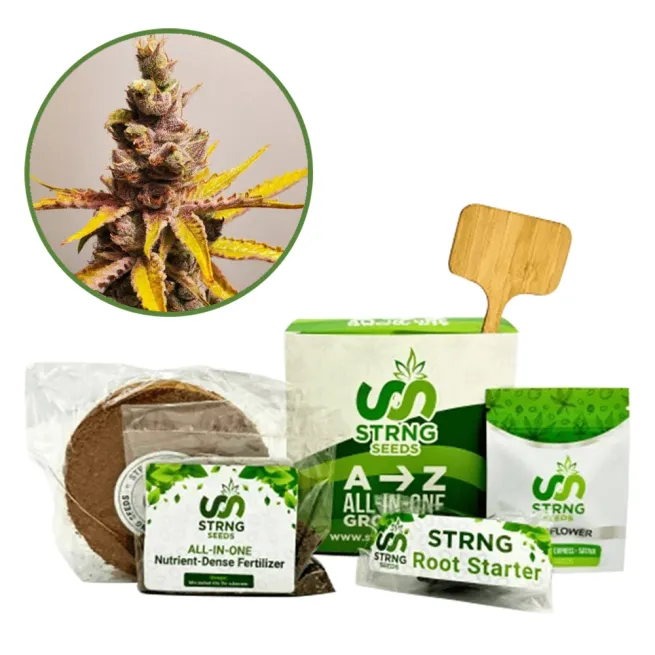 Clementine Premium Grow Kit