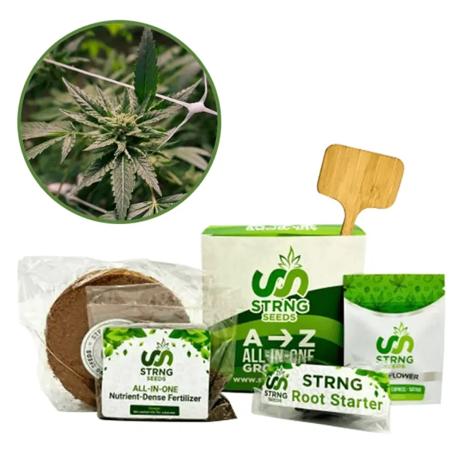 Gelato x Sex Panther Premium Grow Kit