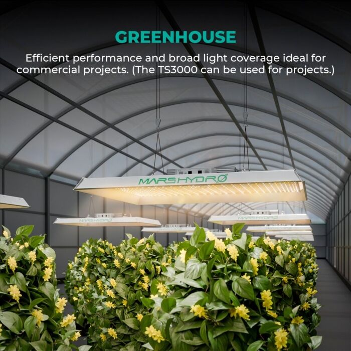 Mars Hydro TS 3000 420W Full Spectrum LED Grow Light High PPFD For Advanced Beginners