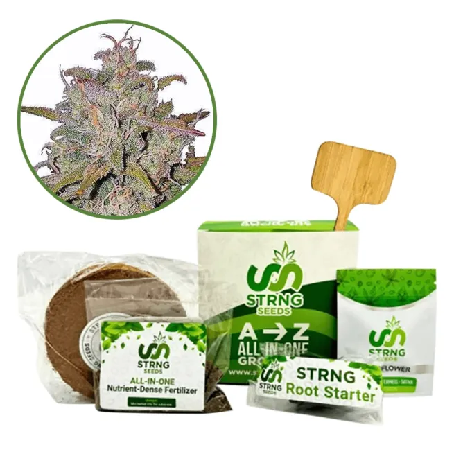 Pink Runtz Premium Grow Kit