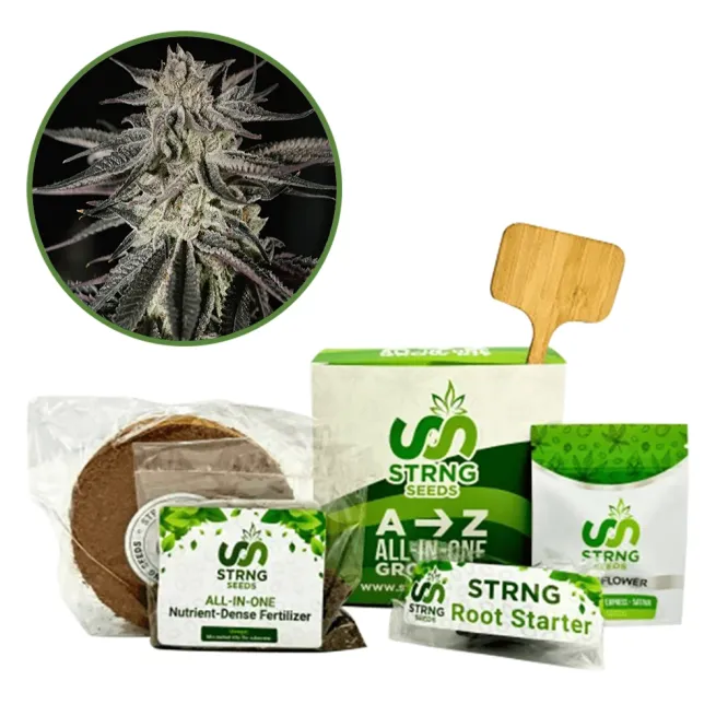 Purple Kush Premium Grow Kit