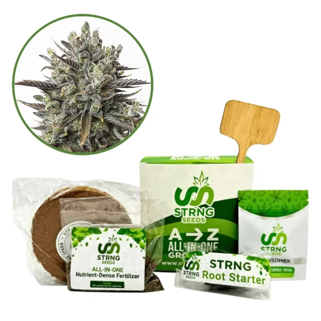 Purple Orange CBD Premium Grow Kit