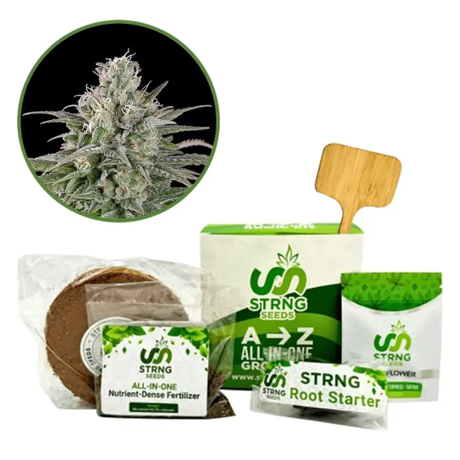 UK Cheese Premium Grow Kit