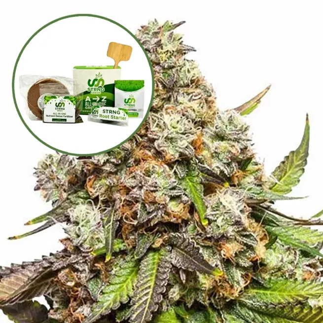 Fruity Pebbles Strain Grow Kit