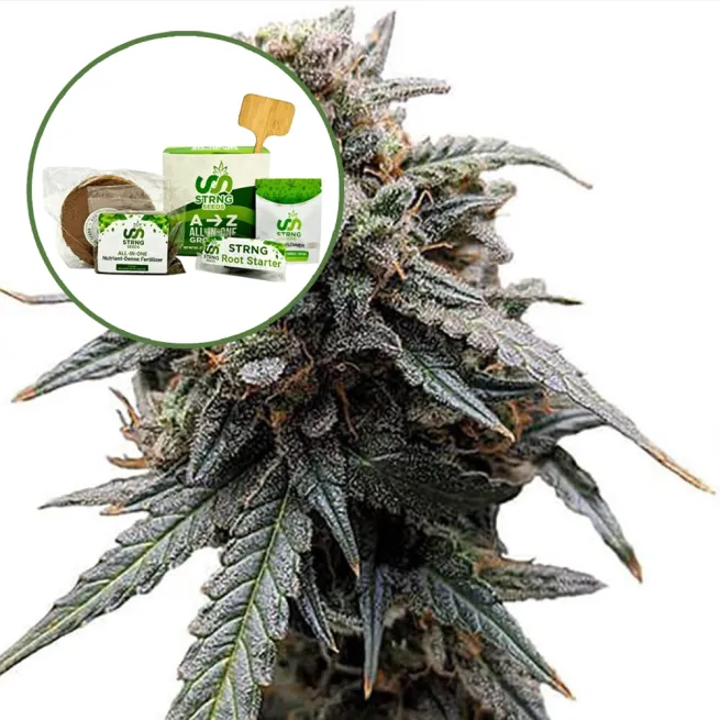 Sweet Tooth Strain Grow Kit