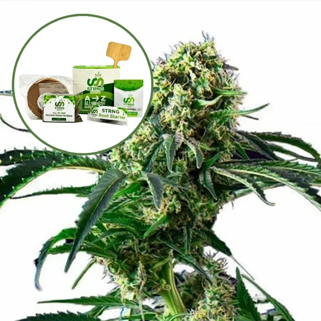 Wrecking Ball Strain Grow Kit